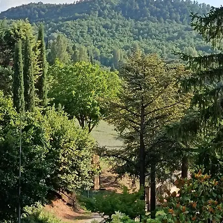 Cortemaggio